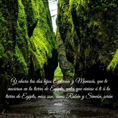 Picture 03 - Génesis 48:5 RVA - Y ahora tus dos hijos Ephraim y Manasés, que te - Bible Verse Picture