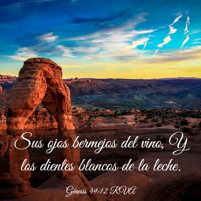 Picture 03 - Génesis 49:12 RVA - Sus ojos bermejos del vino, Y los dientes blancos - Bible Verse Picture