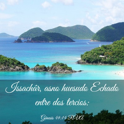Picture 03 - Génesis 49:14 RVA - Issachâr, asno huesudo Echado entre dos - Bible Verse Picture