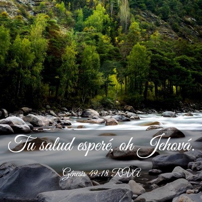 Picture 03 - Génesis 49:18 RVA - Tu salud esperé, oh - Bible Verse Picture