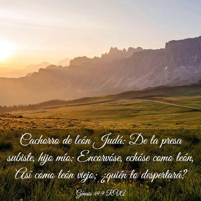 Picture 03 - Génesis 49:9 RVA - Cachorro de león Judá: De la presa subiste, - Bible Verse Picture