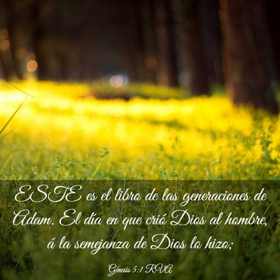 Picture 03 - Génesis 5:1 RVA - ESTE es el libro de las generaciones de Adam. El - Bible Verse Picture