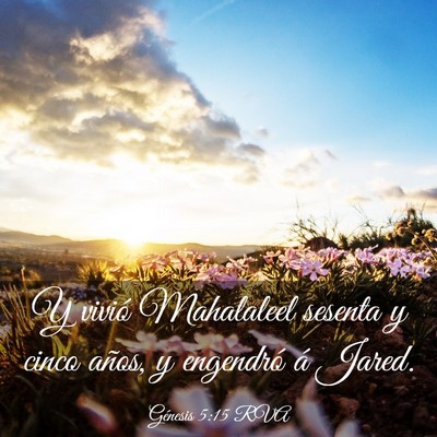 Picture 03 - Génesis 5:15 RVA - Y vivió Mahalaleel sesenta y cinco años, y - Bible Verse Picture