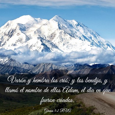 Picture 03 - Génesis 5:2 RVA - Varón y hembra los crió; y los bendijo, y - Bible Verse Picture