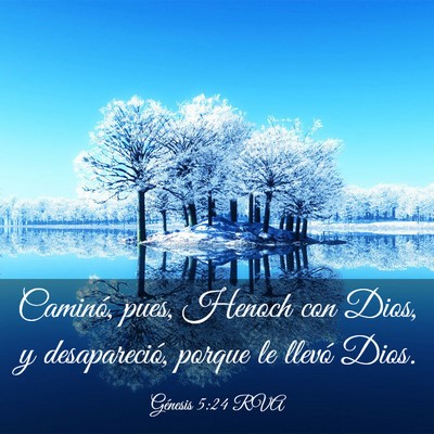 Picture 03 - Génesis 5:24 RVA - Caminó, pues, Henoch con Dios, y desapareció, - Bible Verse Picture