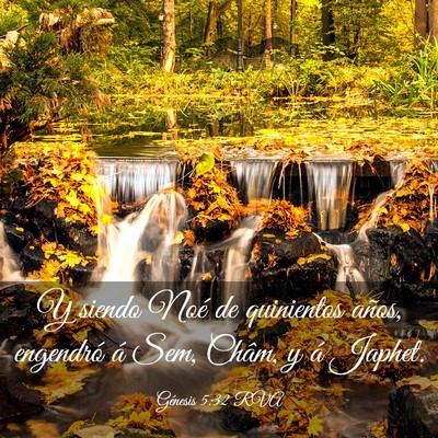 Picture 03 - Génesis 5:32 RVA - Y siendo Noé de quinientos años, engendró á - Bible Verse Picture