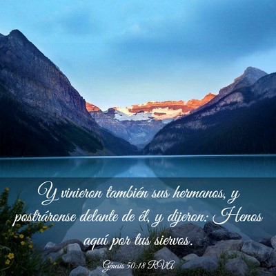 Picture 03 - Génesis 50:18 RVA - Y vinieron también sus hermanos, y postráronse - Bible Verse Picture
