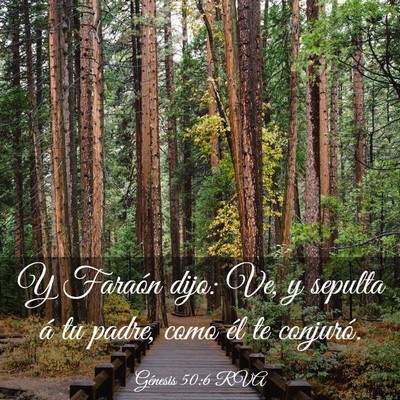 Picture 03 - Génesis 50:6 RVA - Y Faraón dijo: Ve, y sepulta á tu padre, como - Bible Verse Picture