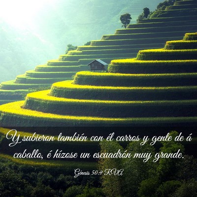 Picture 03 - Génesis 50:9 RVA - Y subieron también con él carros y gente de á - Bible Verse Picture