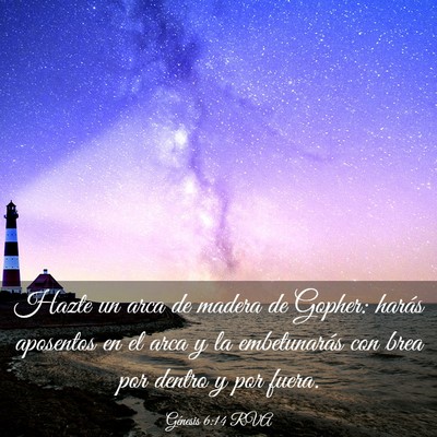 Picture 03 - Génesis 6:14 RVA - Hazte un arca de madera de Gopher: harás - Bible Verse Picture