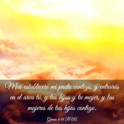 Picture 03 - Génesis 6:18 RVA - Mas estableceré mi pacto contigo, y entrarás en - Bible Verse Picture
