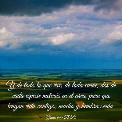 Picture 03 - Génesis 6:19 RVA - Y de todo lo que vive, de toda carne, dos de cada - Bible Verse Picture