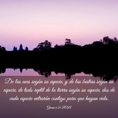 Picture 03 - Génesis 6:20 RVA - De las aves según su especie, y de las bestias - Bible Verse Picture