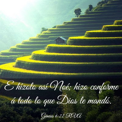 Picture 03 - Génesis 6:22 RVA - E hízolo así Noé; hizo conforme á todo lo que - Bible Verse Picture