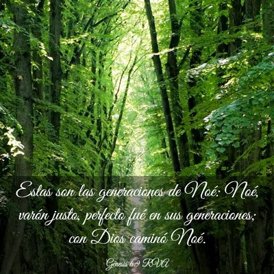 Picture 03 - Génesis 6:9 RVA - Estas son las generaciones de Noé: Noé, varón - Bible Verse Picture