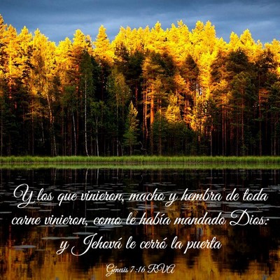 Picture 03 - Génesis 7:16 RVA - Y los que vinieron, macho y hembra de toda carne - Bible Verse Picture