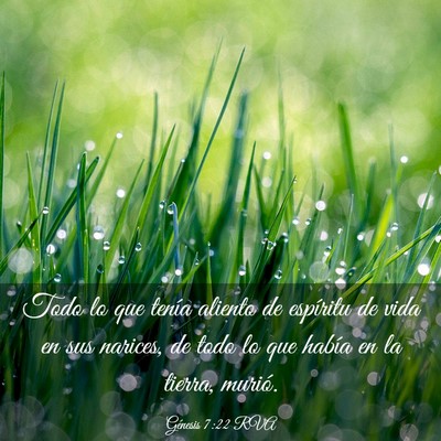 Picture 03 - Génesis 7:22 RVA - Todo lo que tenía aliento de espíritu de vida - Bible Verse Picture