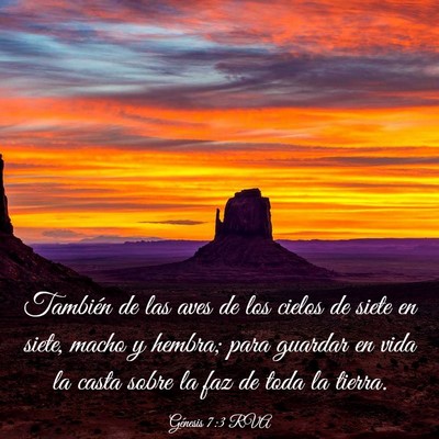 Picture 03 - Génesis 7:3 RVA - También de las aves de los cielos de siete en - Bible Verse Picture