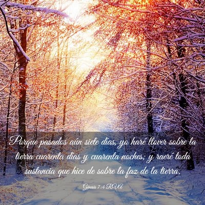 Picture 03 - Génesis 7:4 RVA - Porque pasados aún siete días, yo haré llover - Bible Verse Picture