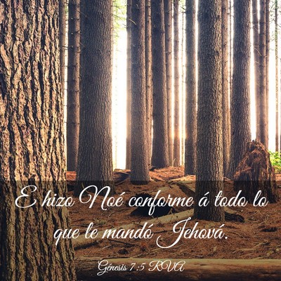 Picture 03 - Génesis 7:5 RVA - E hizo Noé conforme á todo lo que le mandó - Bible Verse Picture