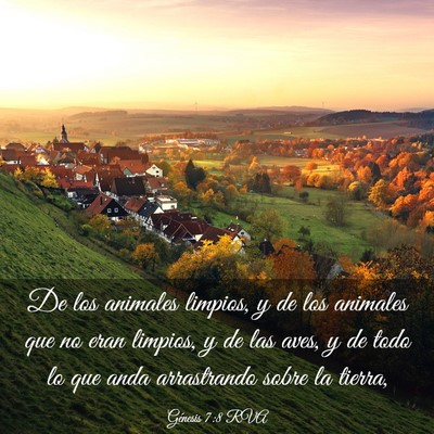 Picture 03 - Génesis 7:8 RVA - De los animales limpios, y de los animales que no - Bible Verse Picture