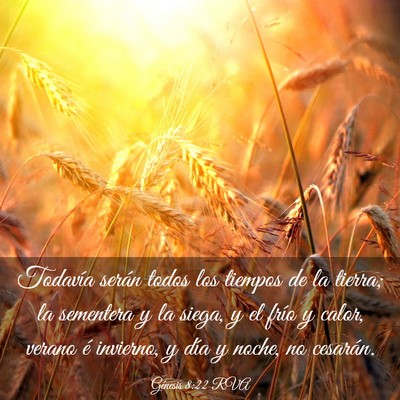 Picture 03 - Génesis 8:22 RVA - Todavía serán todos los tiempos de la tierra; - Bible Verse Picture