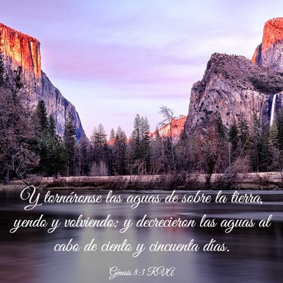 Picture 03 - Génesis 8:3 RVA - Y tornáronse las aguas de sobre la tierra, yendo - Bible Verse Picture
