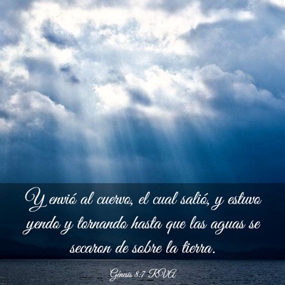 Picture 03 - Génesis 8:7 RVA - Y envió al cuervo, el cual salió, y estuvo - Bible Verse Picture