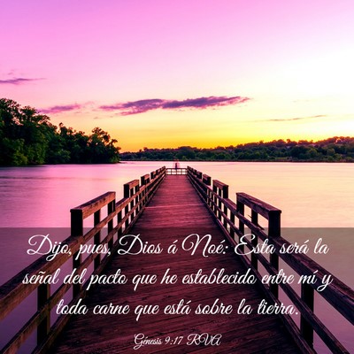 Picture 03 - Génesis 9:17 RVA - Dijo, pues, Dios á Noé: Esta será la señal - Bible Verse Picture