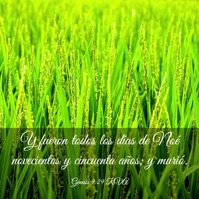 Picture 03 - Génesis 9:29 RVA - Y fueron todos los días de Noé novecientos y - Bible Verse Picture