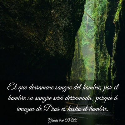Picture 03 - Génesis 9:6 RVA - El que derramare sangre del hombre, por el hombre - Bible Verse Picture