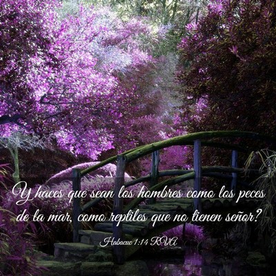 Picture 03 - Habacuc 1:14 RVA - Y haces que sean los hombres como los peces de la - Bible Verse Picture