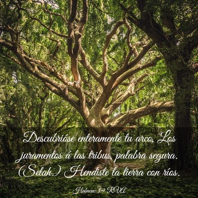 Picture 03 - Habacuc 3:9 RVA - Descubrióse enteramente tu arco, Los juramentos - Bible Verse Picture