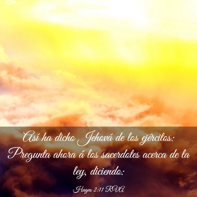 Picture 03 - Hageo 2:11 RVA - Así ha dicho Jehová de los ejércitos: Pregunta - Bible Verse Picture