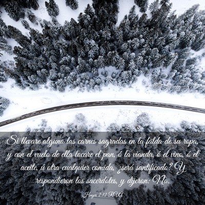 Picture 03 - Hageo 2:12 RVA - Si llevare alguno las carnes sagradas en la falda - Bible Verse Picture