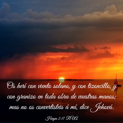 Picture 03 - Hageo 2:17 RVA - Os herí con viento solano, y con tizoncillo, y - Bible Verse Picture