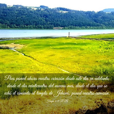 Picture 03 - Hageo 2:18 RVA - Pues poned ahora vuestro corazón desde este día - Bible Verse Picture