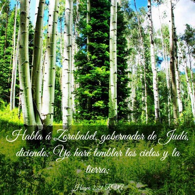 Picture 03 - Hageo 2:21 RVA - Habla á Zorobabel, gobernador de Judá, - Bible Verse Picture