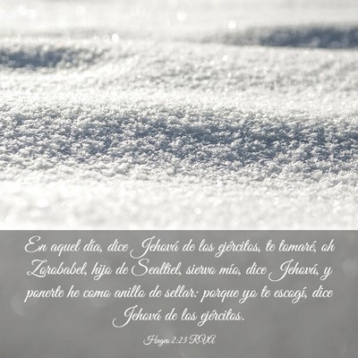 Picture 03 - Hageo 2:23 RVA - En aquel día, dice Jehová de los ejércitos, te - Bible Verse Picture