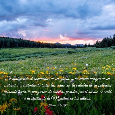 Picture 03 - Hebreos 1:3 RVA - El cual siendo el resplandor de su gloria, y la - Bible Verse Picture