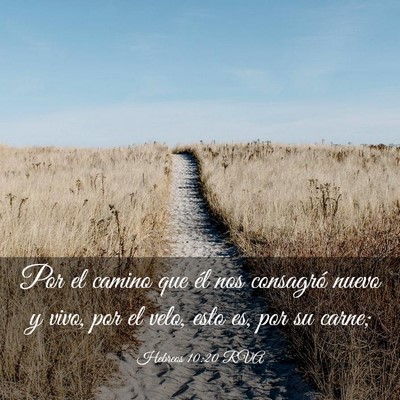 Picture 03 - Hebreos 10:20 RVA - Por el camino que él nos consagró nuevo y vivo, - Bible Verse Picture