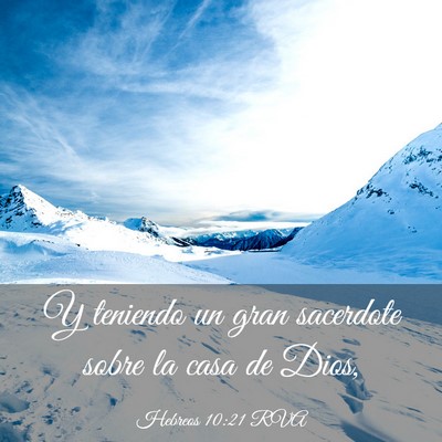 Picture 03 - Hebreos 10:21 RVA - Y teniendo un gran sacerdote sobre la casa de - Bible Verse Picture