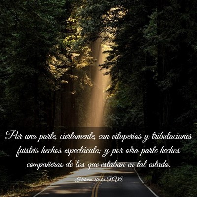 Picture 03 - Hebreos 10:33 RVA - Por una parte, ciertamente, con vituperios y - Bible Verse Picture