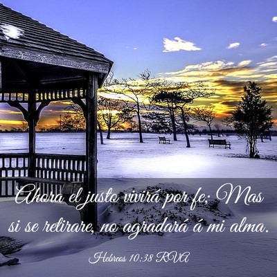 Picture 03 - Hebreos 10:38 RVA - Ahora el justo vivirá por fe; Mas si se - Bible Verse Picture