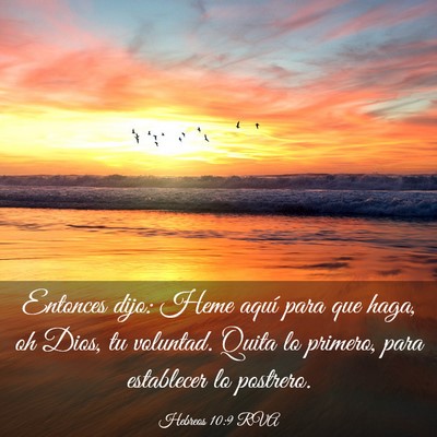 Picture 03 - Hebreos 10:9 RVA - Entonces dijo: Heme aquí para que haga, oh Dios, - Bible Verse Picture