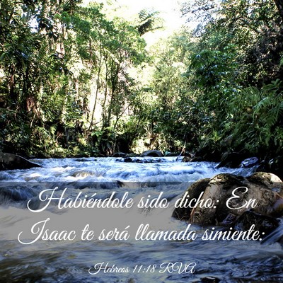Picture 03 - Hebreos 11:18 RVA - Habiéndole sido dicho: En Isaac te será llamada - Bible Verse Picture