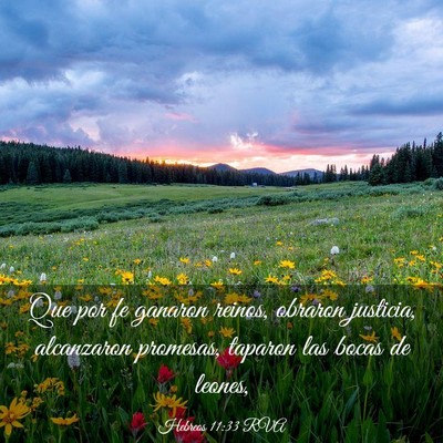 Picture 03 - Hebreos 11:33 RVA - Que por fe ganaron reinos, obraron justicia, - Bible Verse Picture