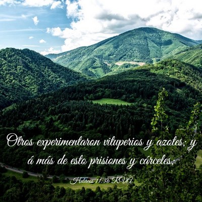 Picture 03 - Hebreos 11:36 RVA - Otros experimentaron vituperios y azotes; y á - Bible Verse Picture