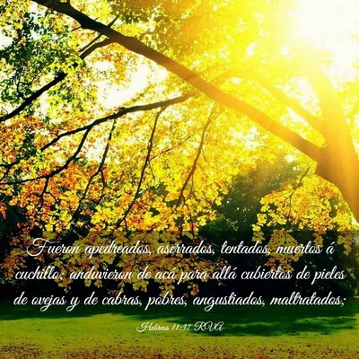 Picture 03 - Hebreos 11:37 RVA - Fueron apedreados, aserrados, tentados, muertos - Bible Verse Picture