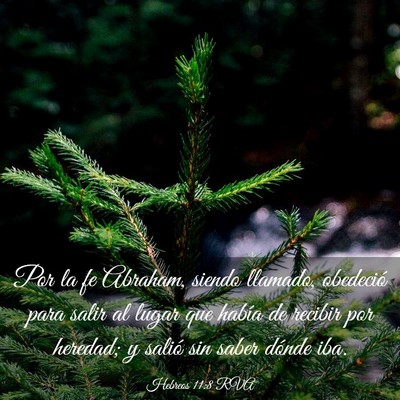 Picture 03 - Hebreos 11:8 RVA - Por la fe Abraham, siendo llamado, obedeció para - Bible Verse Picture